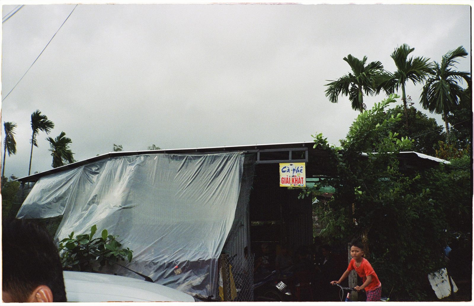 Tarp-covered roadside building under palm trees, a child cycling past